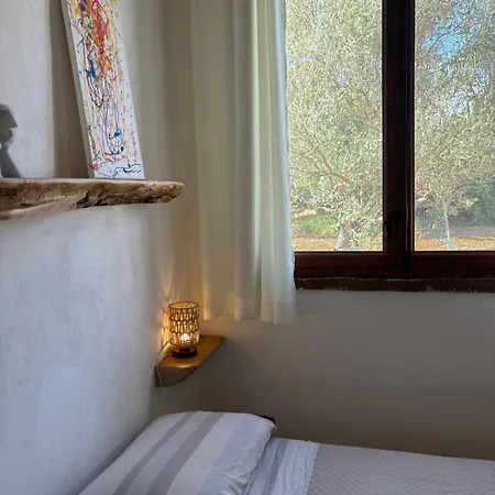 Akra Domus Tatil Evi *