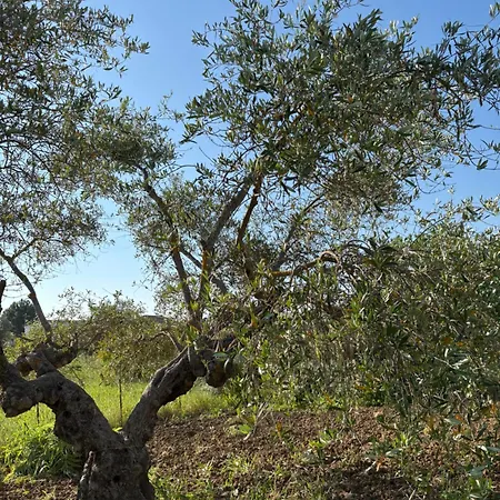 Tatil Evi Akra Domus Ioppolo Giancaxio